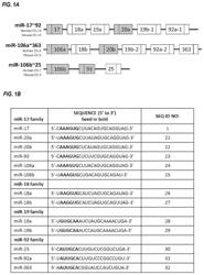 METHODS FOR TREATMENT OF POLYCYSTIC KIDNEY DISEASE