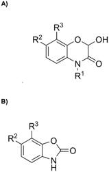 INCREASED FUNGAL RESISTANCE IN CROP PLANTS