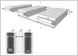 Optoelectronic devices based on intrinsic plasmon-exciton polaritons