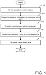 Bioactive Grafts and Composites