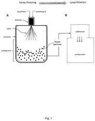 Dry powder composition comprising long-chain RNA