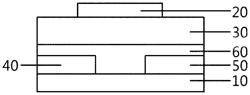 Organic transistor and gas sensor