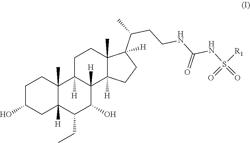 PROCESS FOR PREPARATION OF SULFONYLUREA BILE ACID DERIVATIVES