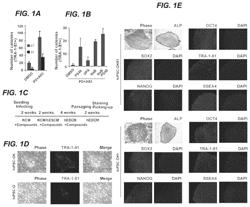 Reprogramming cells