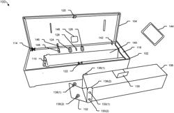 PEST TRAP WITH DISPOSABLE CONTAINER AND WIRELESS MONITORING