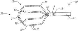 SYSTEM AND METHOD FOR LOCAL ELECTROPHYSIOLOGICAL CHARACTERIZATION OF CARDIAC SUBSTRATE USING MULTI-ELECTRODE CATHETER