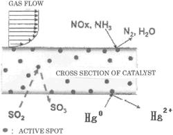 CATALYST SUPPORT STRUCTURE AND METHOD FOR MANUFACTURING SAME