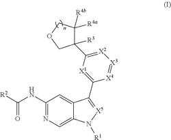 INHIBITORS OF TYROSINE KINASE 2 MEDIATED SIGNALING