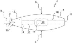 Insertion body, assembly of insertion bodies and method for inserting an insertion body