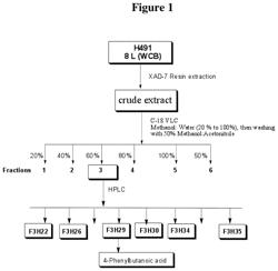 BACILLUS MEGATERIUM BIOACTIVE COMPOSITIONS AND METABOLITES