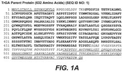 GLUCOAMYLASE VARIANTS WITH ALTERED PROPERTIES