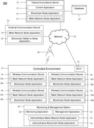 SYSTEMS AND METHODS FOR BLOCKCHAIN WIRELESS SERVICES IN A CONTROLLED ENVIRONMENT