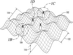 Stents with improved fixation