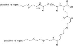 PROTEIN COMPLEX COMPRISING NON-PEPTIDYL POLYMER-COUPLED FATTY ACID DERIVATIVE COMPOUND AS LINKER AND PREPARATION METHOD THEREFOR