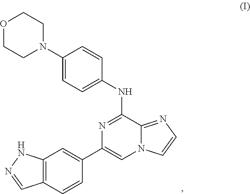 POLYMORPHS OF SYK INHIBITORS