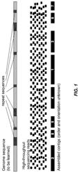 TAGGING NUCLEIC ACIDS FOR SEQUENCE ASSEMBLY