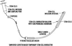 Methods for promoting healing of tissue