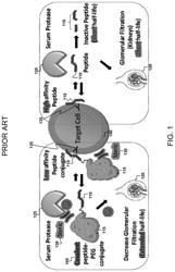 Enhanced anticancer agent