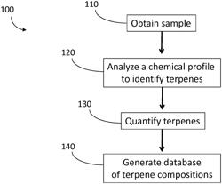 Terpene-based compositions, processes, methodologies for creation and products thereby