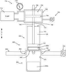 Pathologic staging compression apparatus and methods