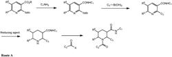 FUSED PIPERIDINYL BICYCLIC AND RELATED COMPOUNDS AS MODULATORS OF C5A RECEPTOR