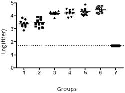 PHARMACEUTICAL COMPOSITION THAT INCLUDES THE SURFACE AND NUCLEOCAPSID ANTIGENS OF THE HEPATITIS B VIRUS