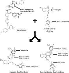 CARBOXYLIC ACID, ACYL SULFONAMIDE AND ACYL SULFAMIDE-DERIVATIZED BICYCLIC AZA-HETEROAROMATICS AS SELECTIVE MCL-1 INHIBITORS AND AS DUAL MCL-1/BCL-2 INHIBITORS