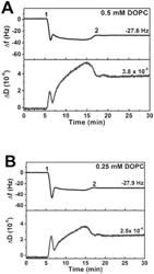 Method for making a solid-supported phospholipid bilayer