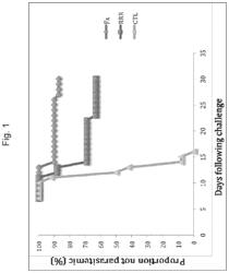 NOVEL METHODS FOR INDUCING AN IMMUNE RESPONSE