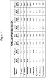 Hybrid plant products from Theobroma species and methods of making the same