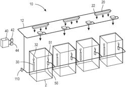 Ionizer monitoring system and ion sensor