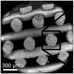 THREE-DIMENSIONAL PRINTED STRUCTURAL SILOXANES HAVING CONTROLLED DRUG RELEASE