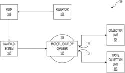 MICROFLUIDIC ACOUSTIC SEPARATION DEVICES