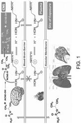 Centrally active and orally bioavailable antidotes for organophosphate exposure and methods for making and using them