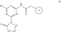 Heterocyclic amide compound