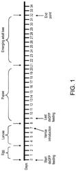 Compositions for controlling Varroa mites in bees