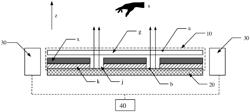 Display device, self-luminous display panel and gesture recognition method