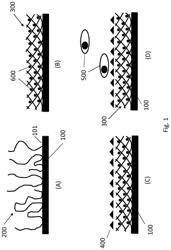 Proteinase-free coatings for colony passaging