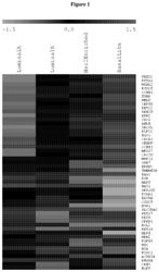 NANO46 GENES AND METHODS TO PREDICT BREAST CANCER OUTCOME