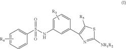 Substituted hydrophobic benzene sulfonamide thiazole compounds for use in treating cancer