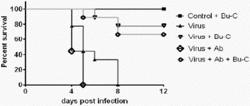 Novel Dosing Regimens of Celgosivir for the Treatment of Dengue