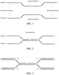 MULTIVALENT OLIGONUCLEOTIDE ASSEMBLIES