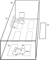 Device for Receiving RFID Signals from Multiple Transponders