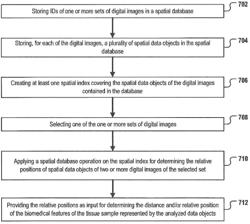 Spatial index creation for IHC image analysis