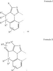 Organic electroluminescent materials and devices