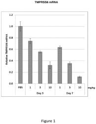 TMPRSS6 iRNA compositions and methods of use thereof