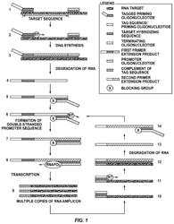 Inactivatable target capture oligomers for use in the selective hybridization and capture of target nucleic acid sequences