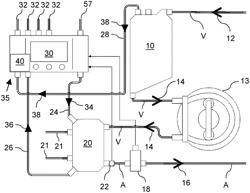 Blood analysis apparatus and method