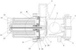 Drain pump and washing machine using the same