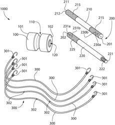 Exercise system and kit